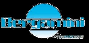 Логотип Bergamini Rettificatrici - станки с ЧПУ
